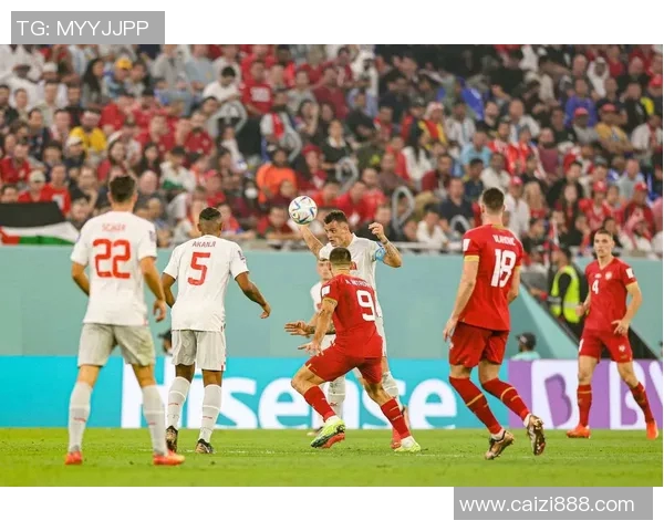 瑞士与卡塔尔足球赛结果揭晓比分是多少让我们一同回顾精彩瞬间